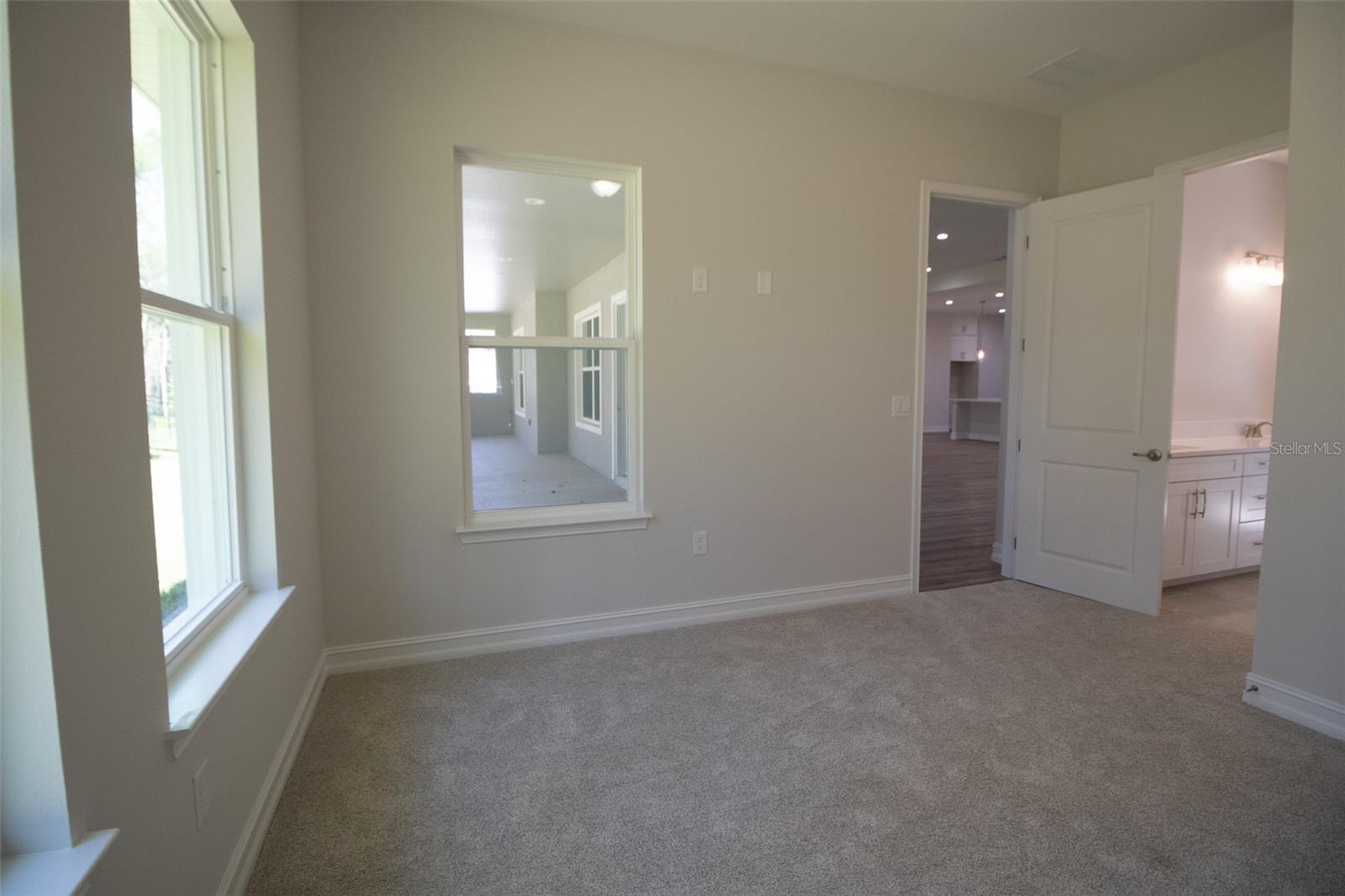 3970 Southern Valley Loop Property Photo 37