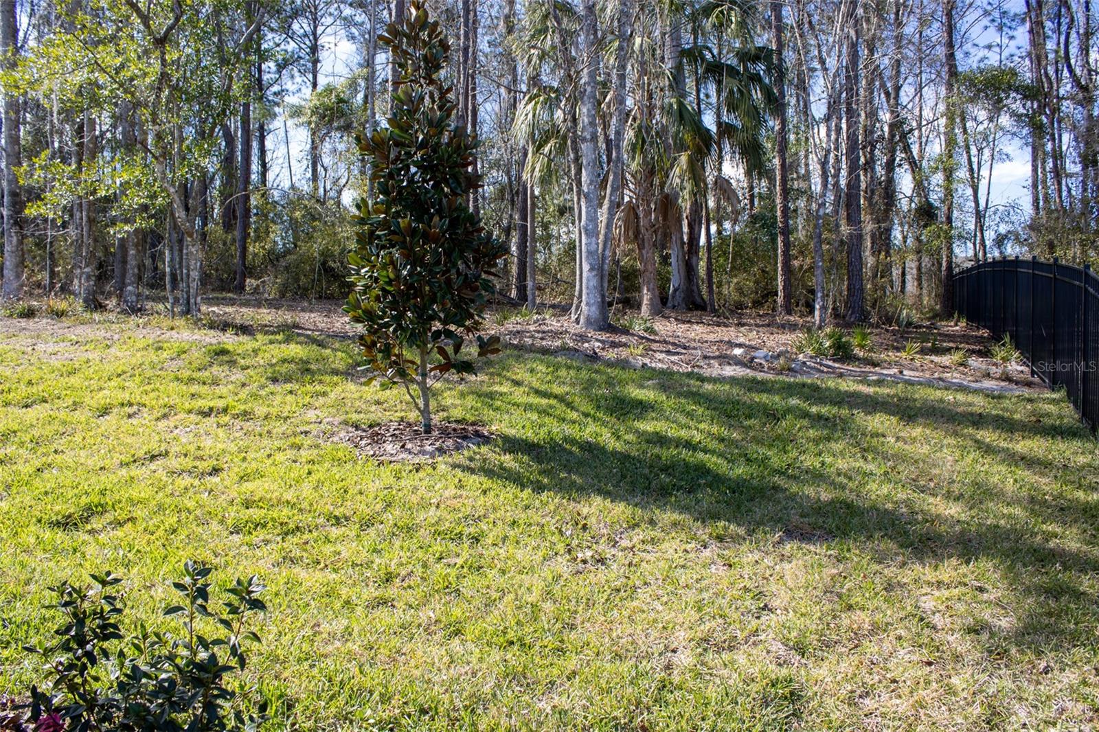 3970 Southern Valley Loop Property Photo 47