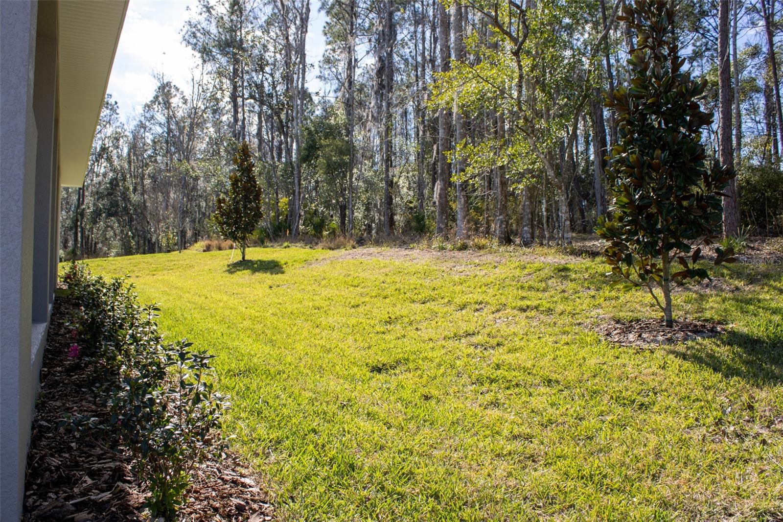 3970 Southern Valley Loop Property Photo 48