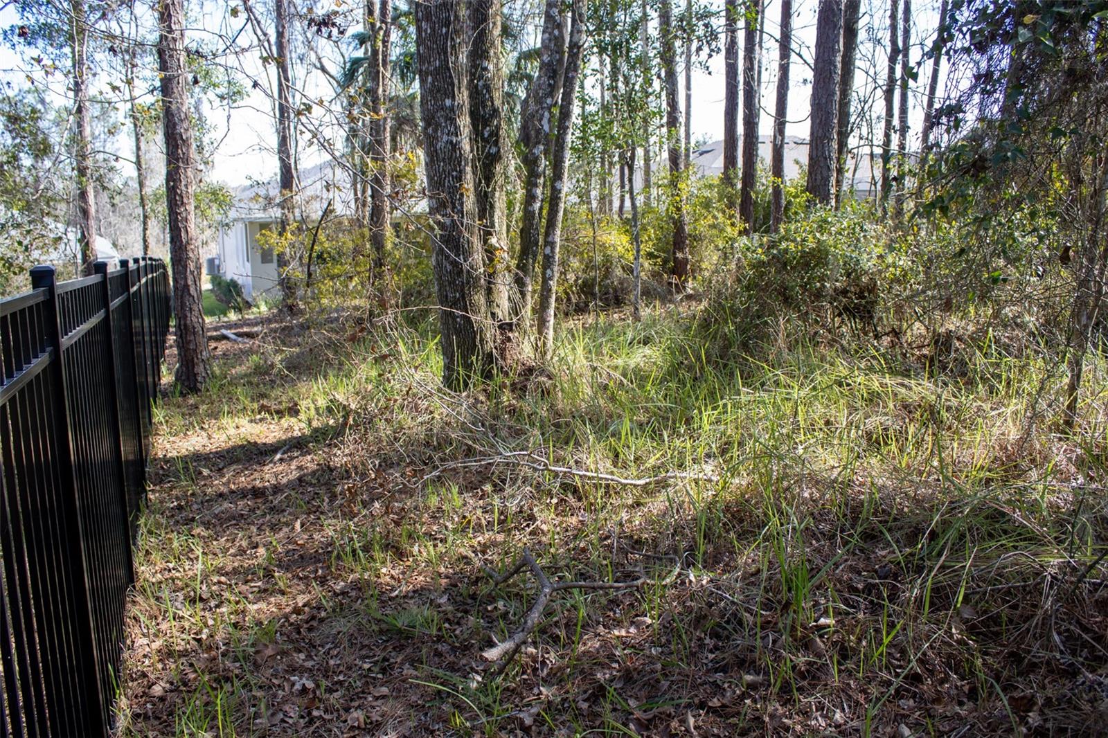 3970 Southern Valley Loop Property Photo 49