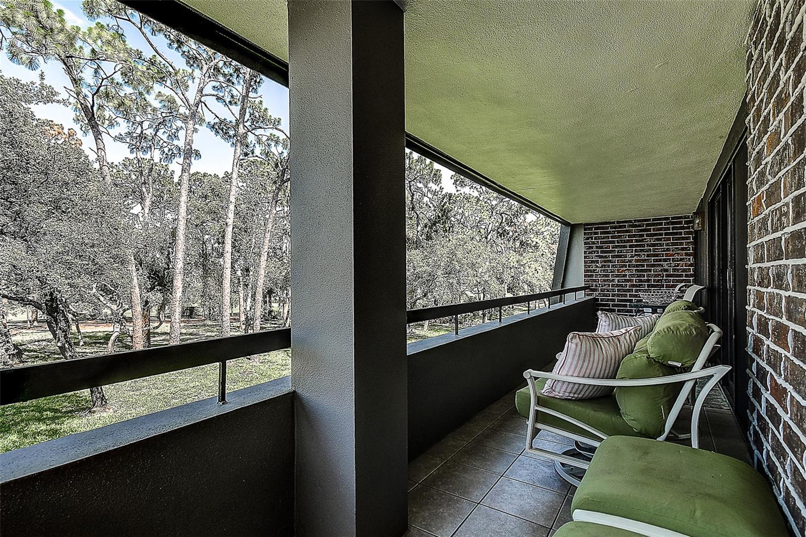 36750 Us Highway 19 #24-213 Property Photo 28