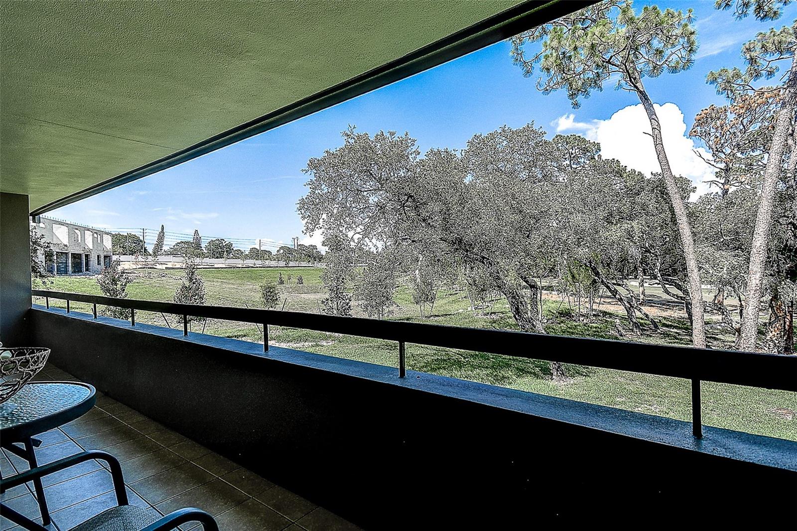 36750 Us Highway 19 #24-213 Property Photo 29