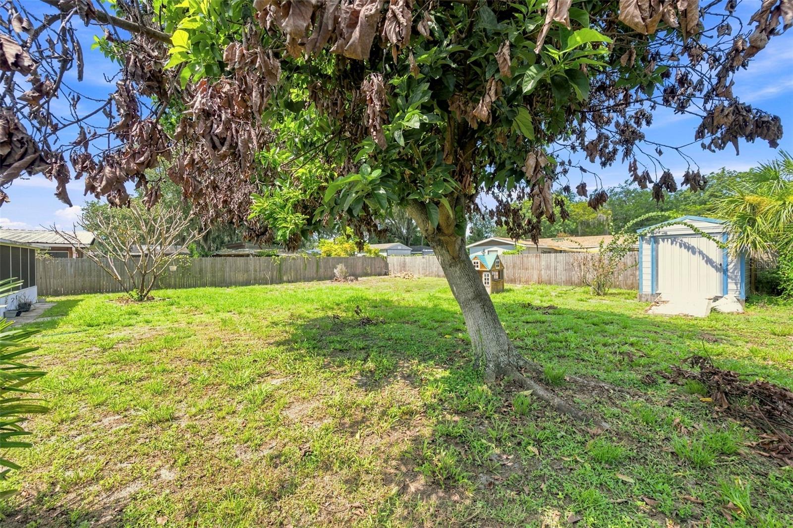 1655 N Floral Ave Property Photo 58