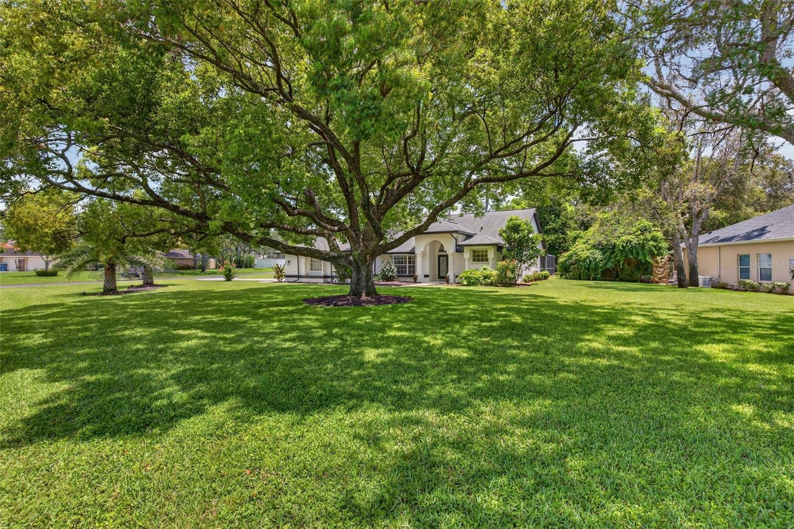 4334 Dottie Ct Property Photo 5