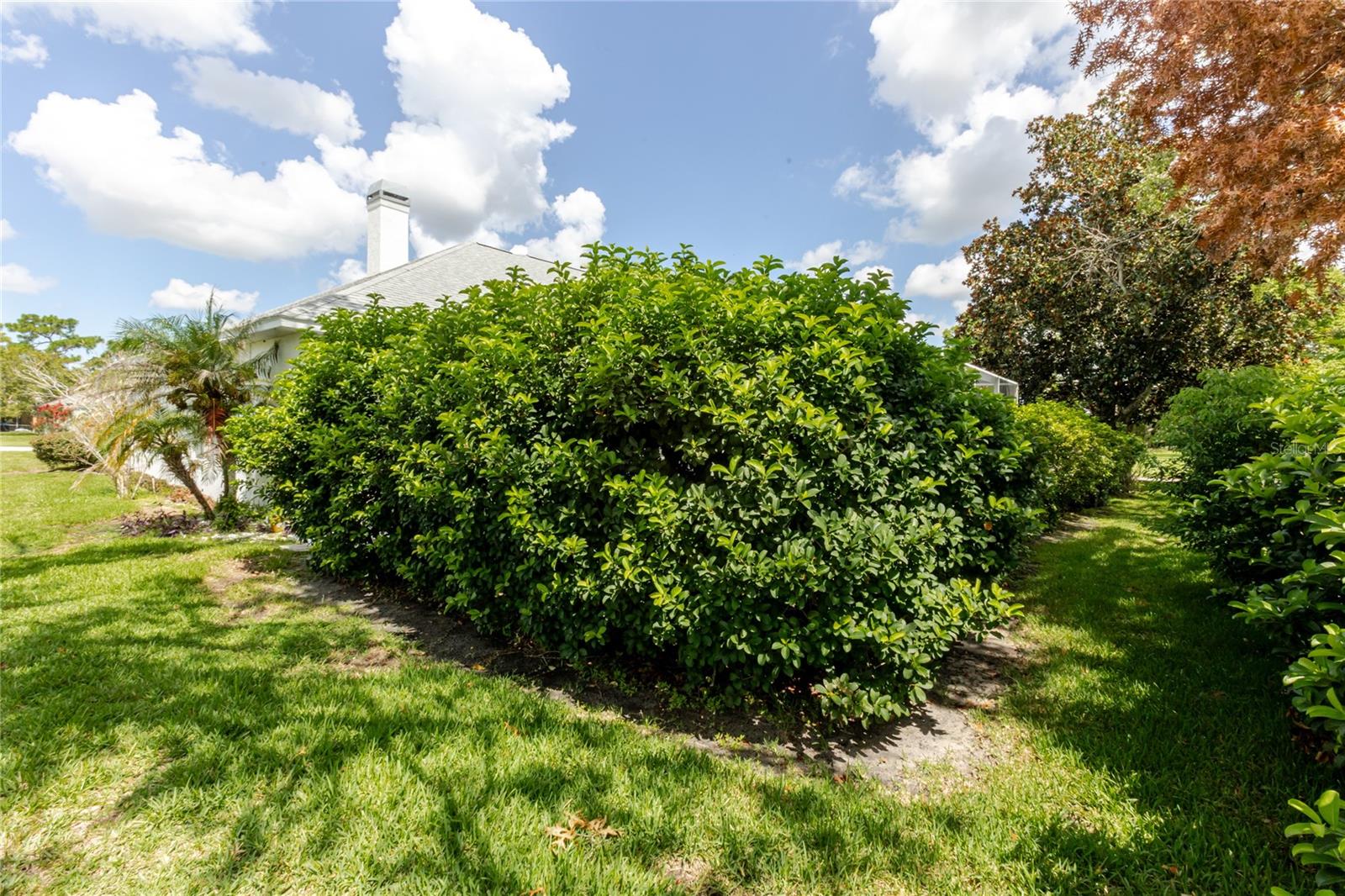 13382 Sagewater Ct Property Photo 85