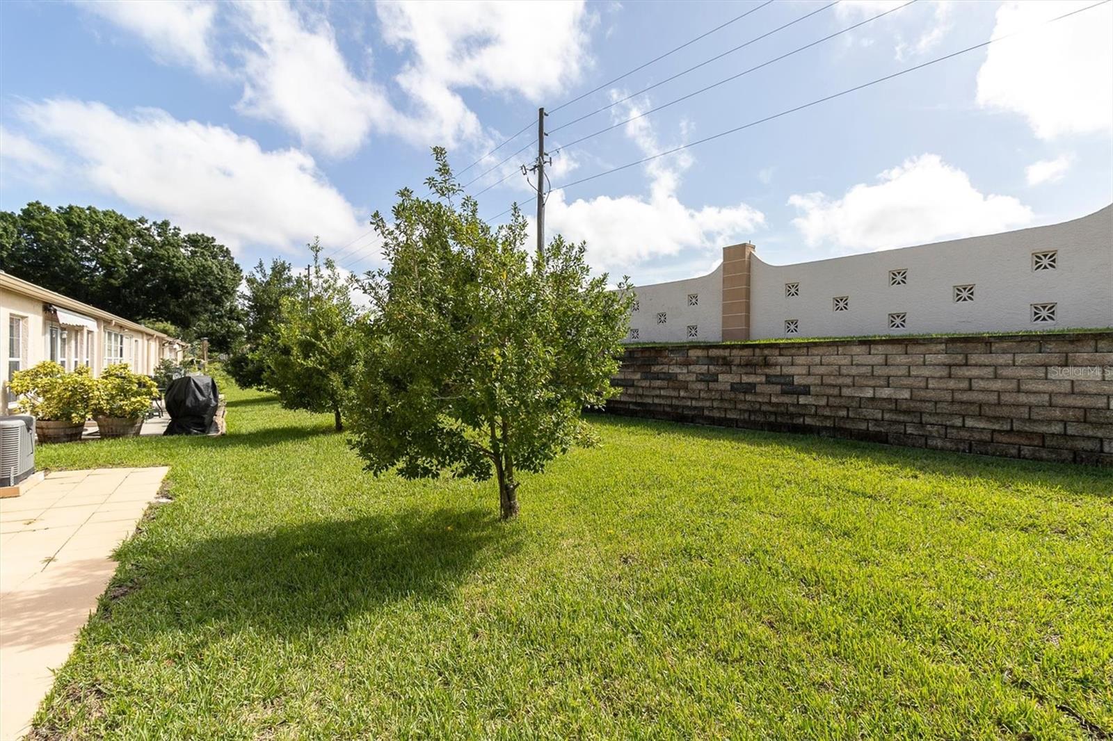 11436 Versailles Ln Property Photo 26