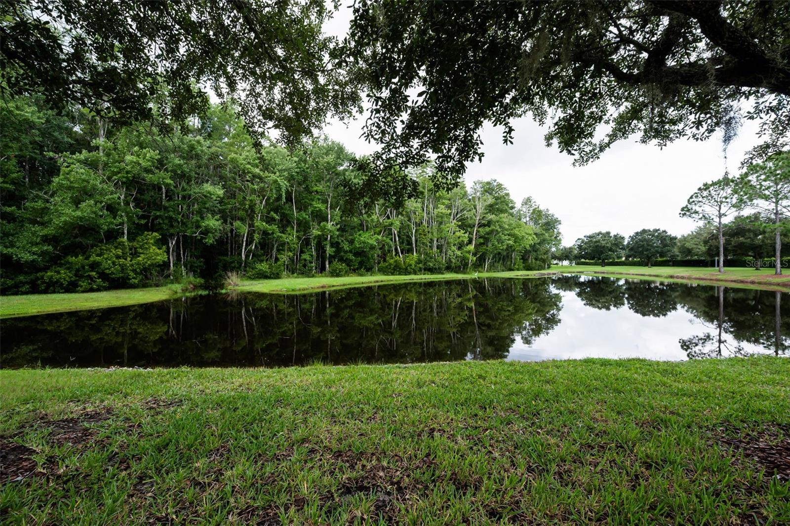 1553 Arlington Oaks Ct Property Photo 38