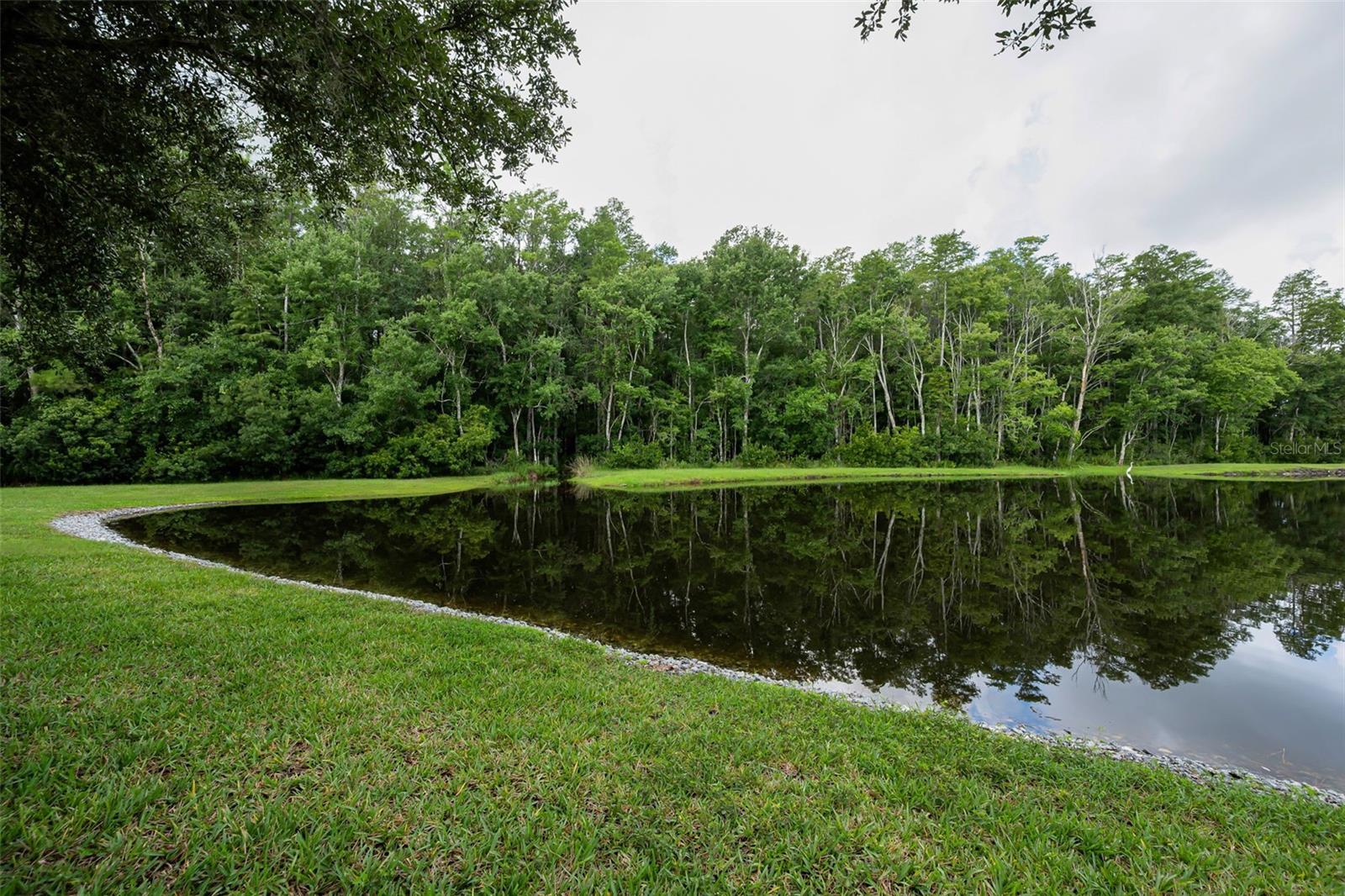 1553 Arlington Oaks Ct Property Photo 41
