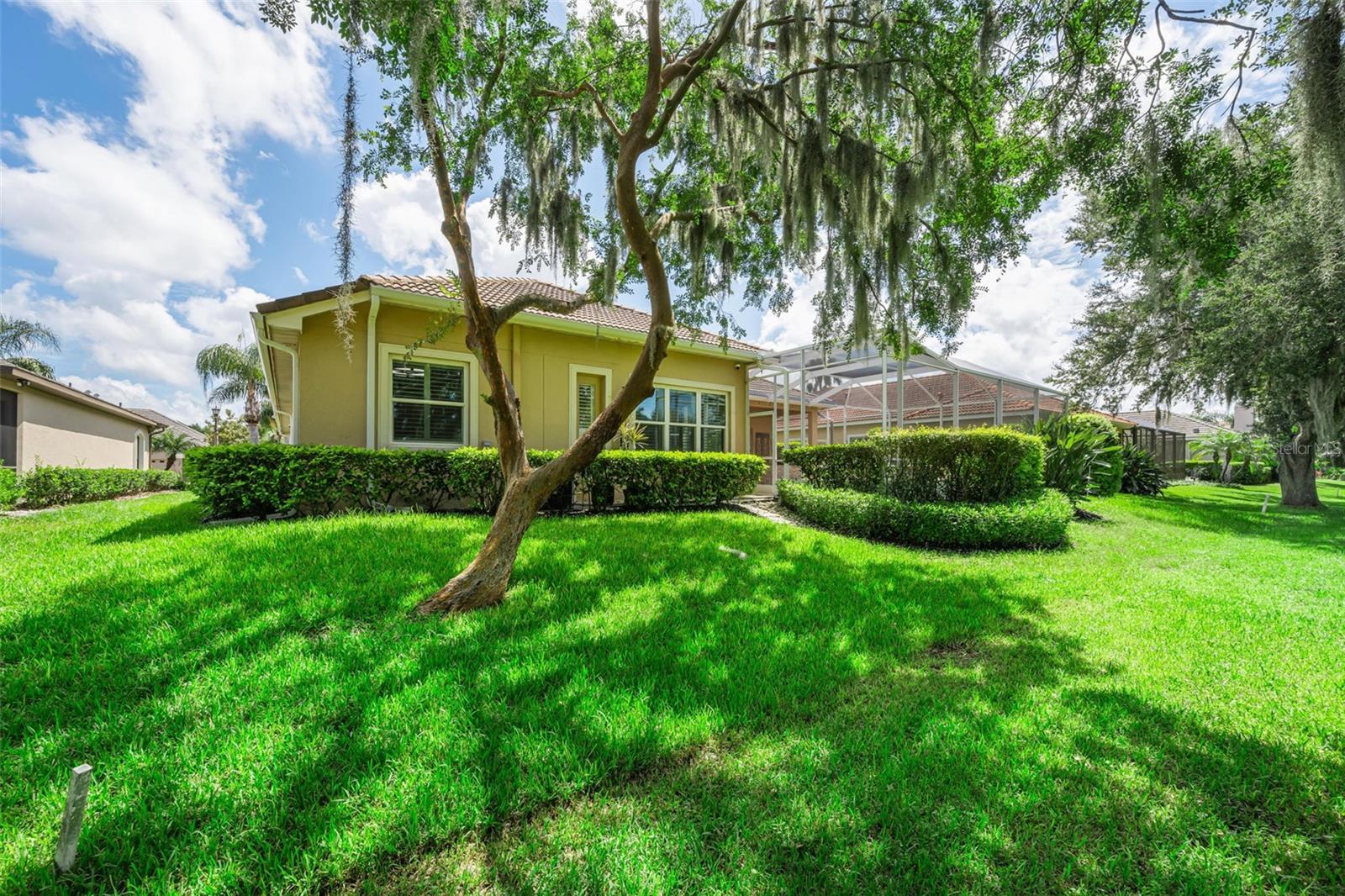 1453 El Pardo Dr Property Photo 68