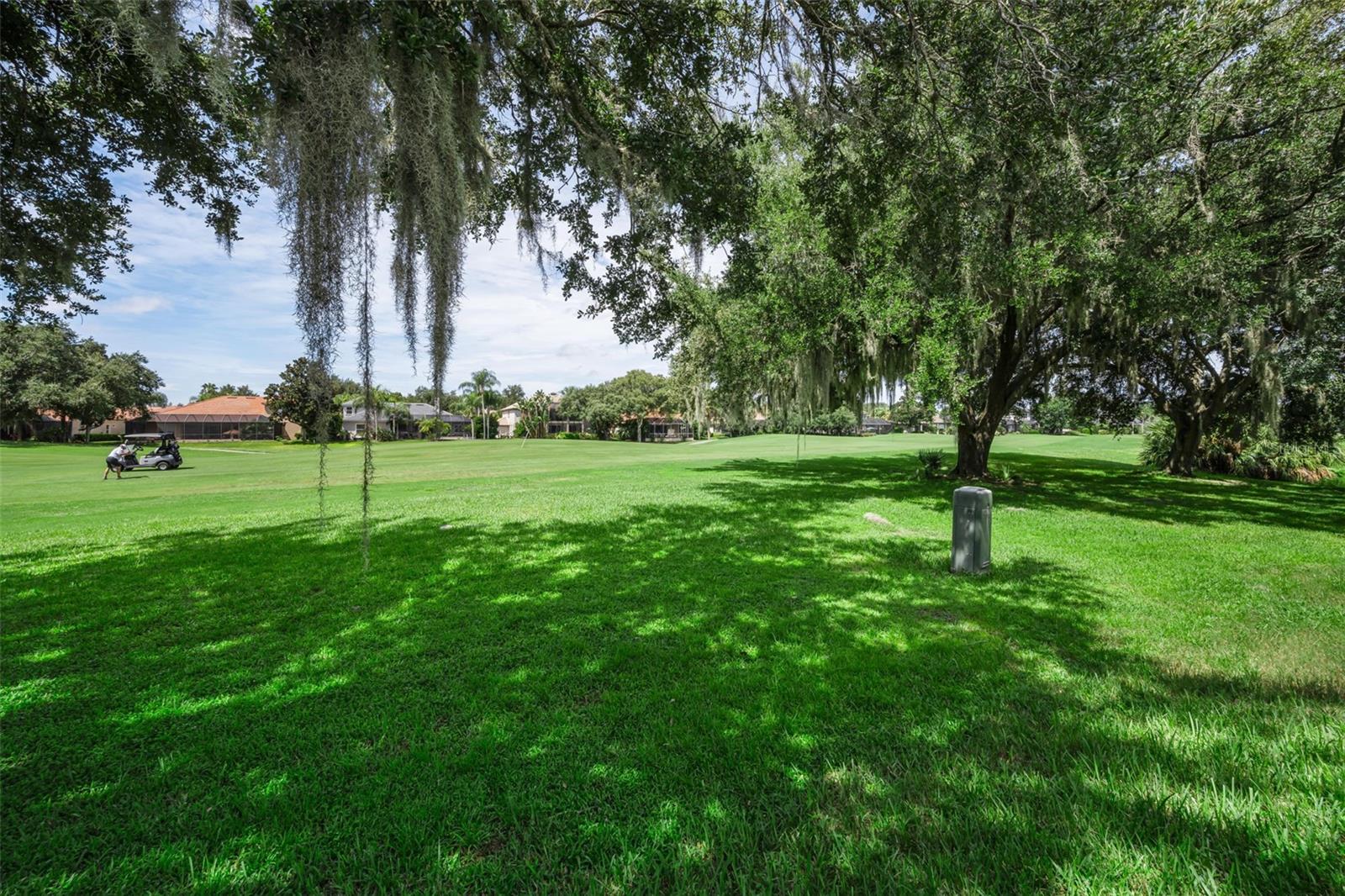 1453 El Pardo Dr Property Photo 69