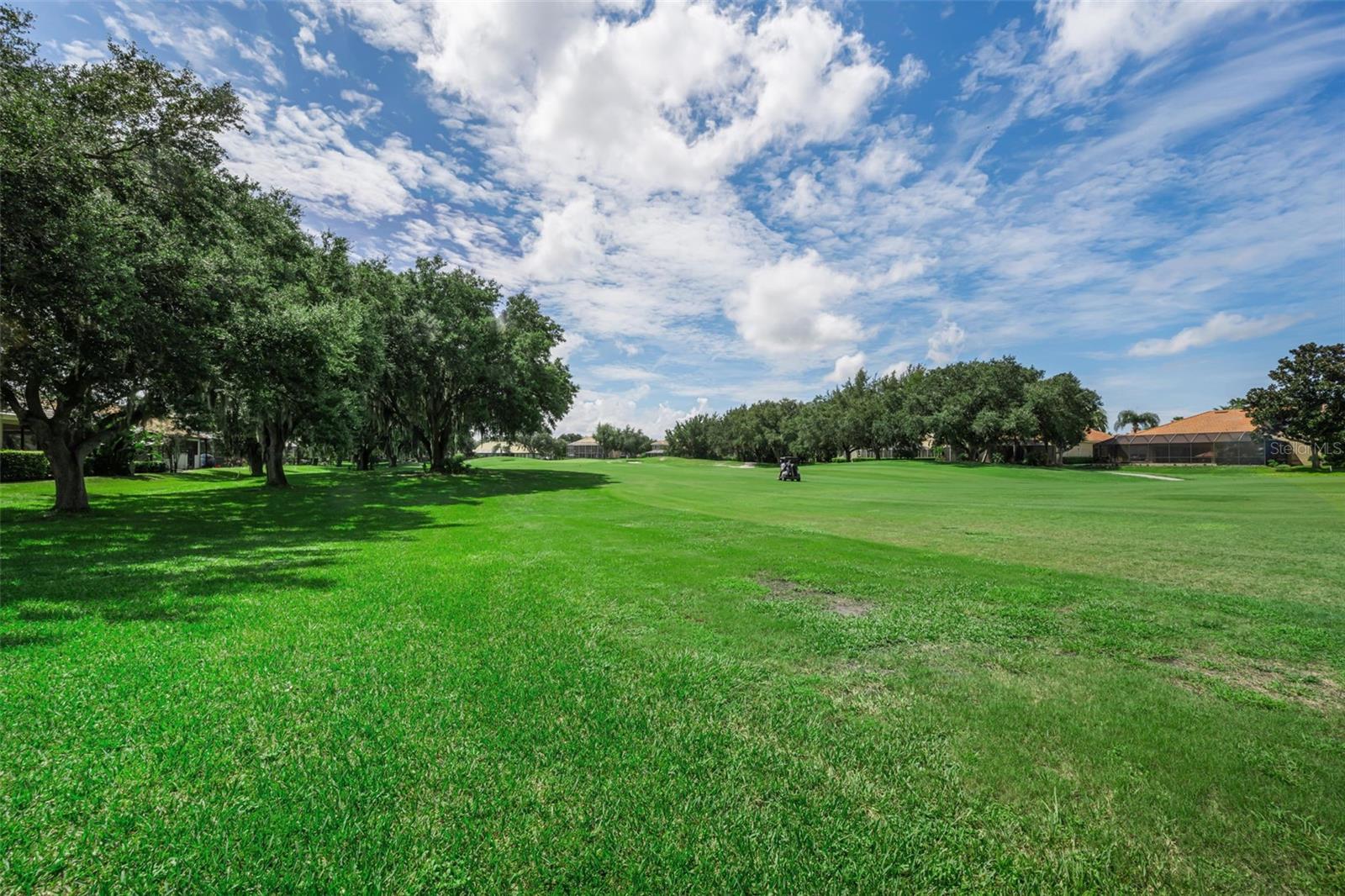1453 El Pardo Dr Property Photo 72