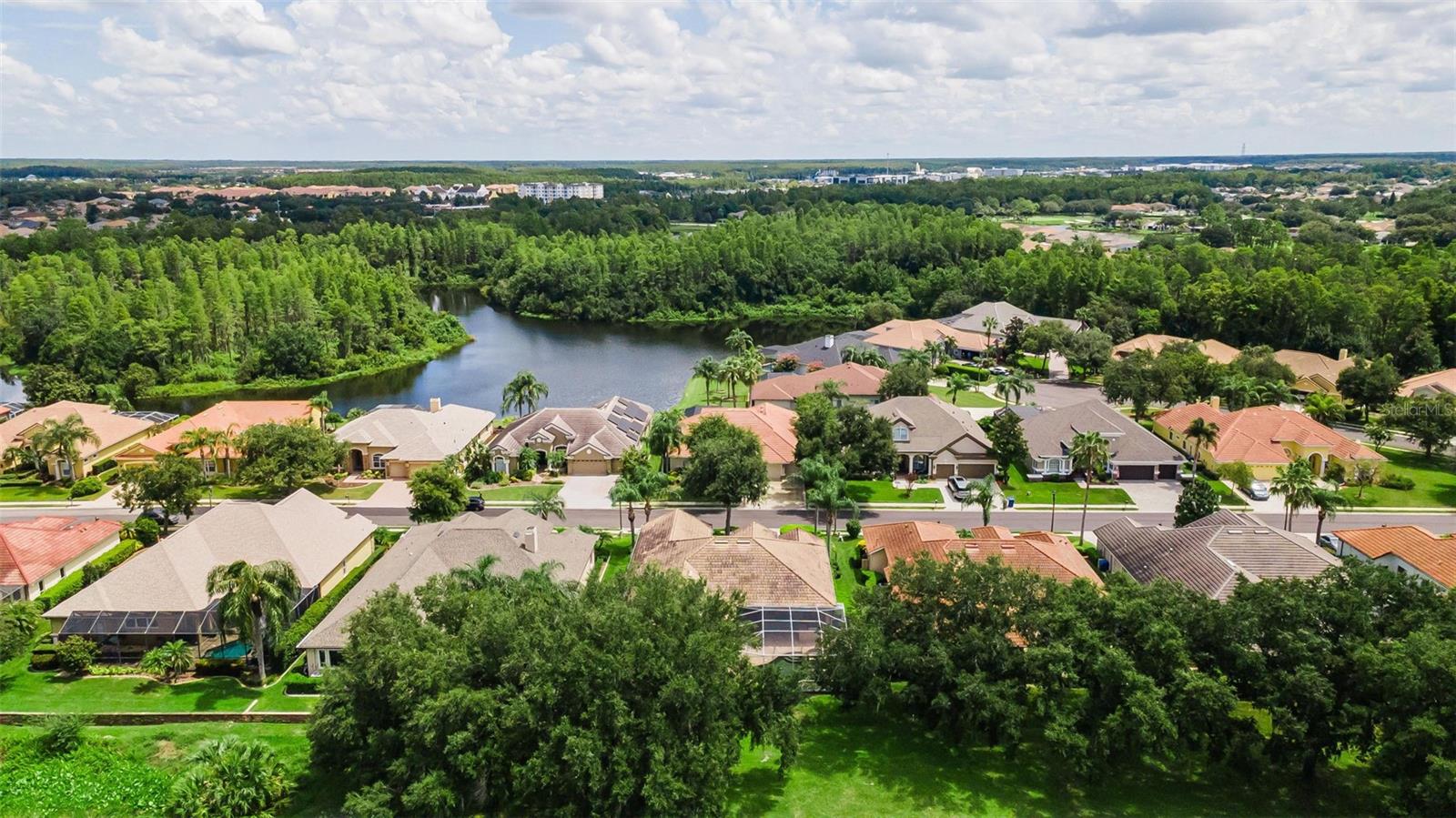 1453 El Pardo Dr Property Photo 77