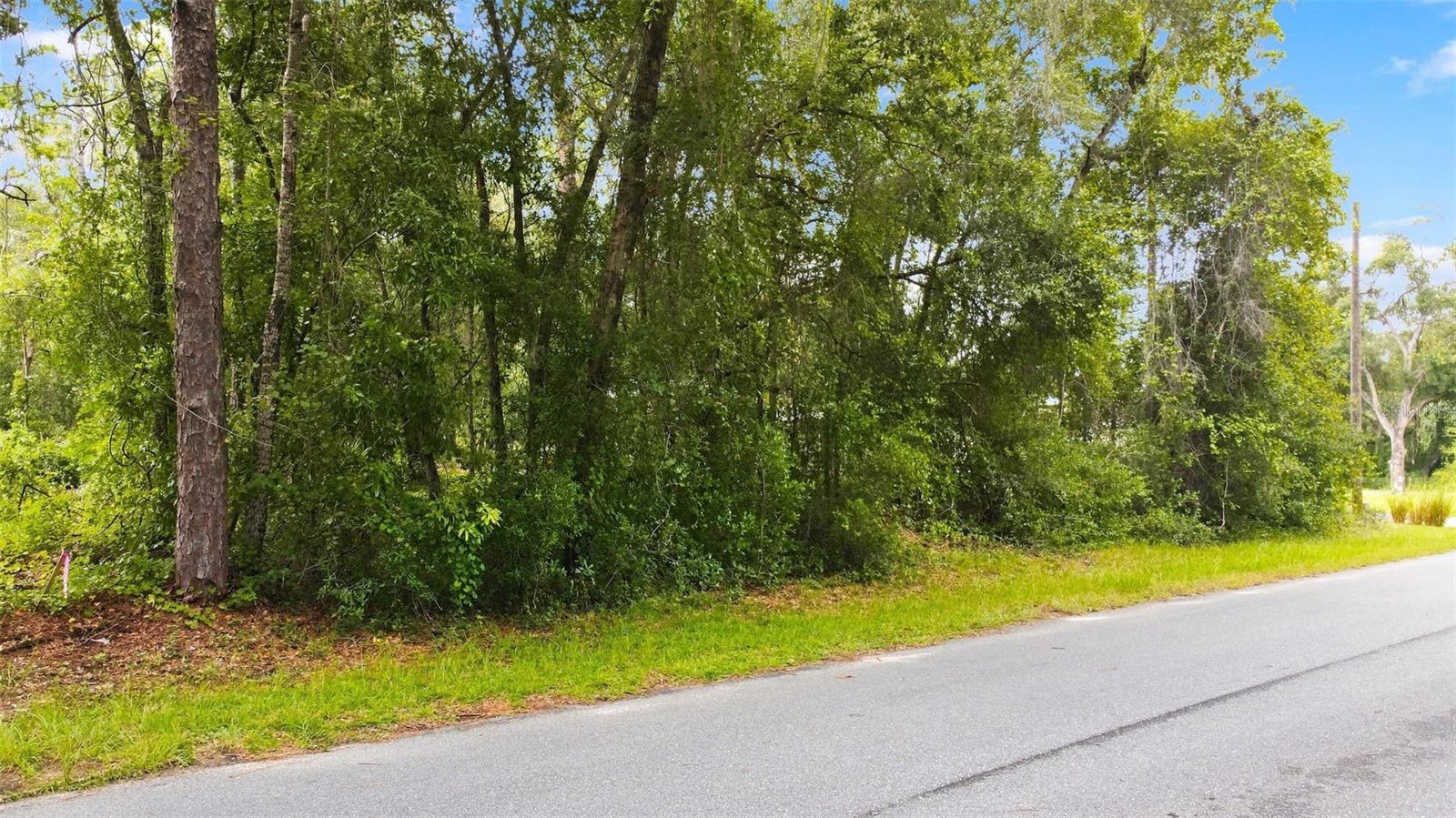 6982 N Palmer Way Property Photo 2