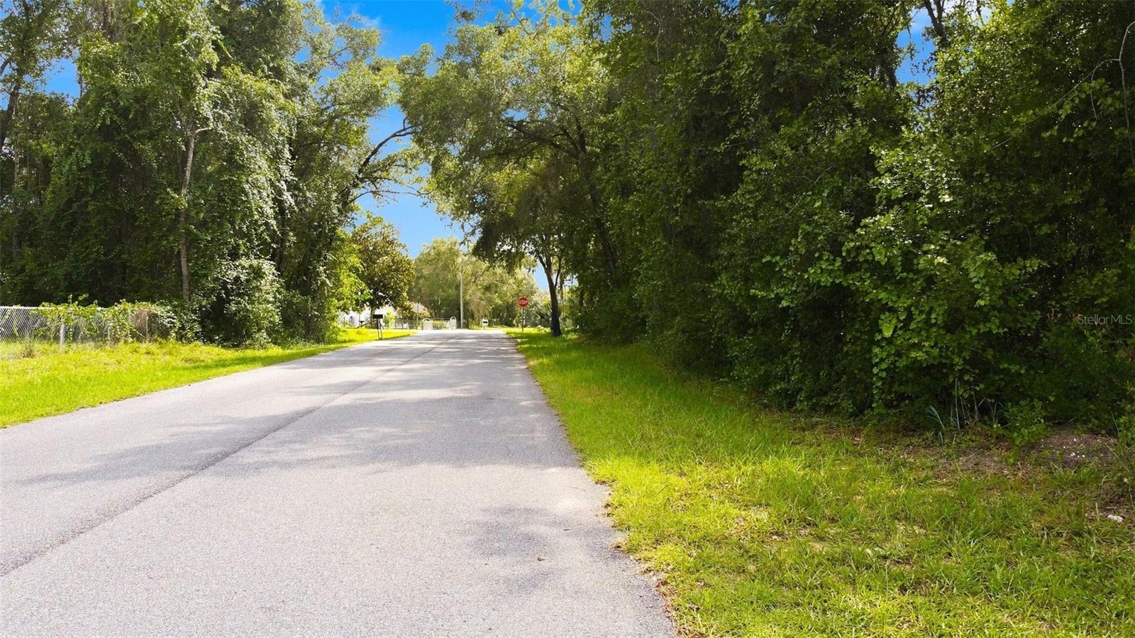 6982 N Palmer Way Property Photo 3