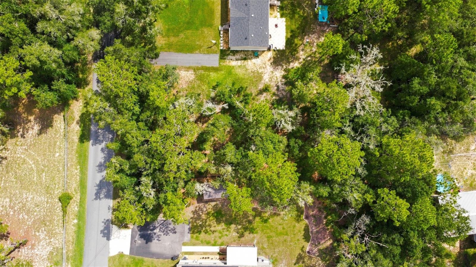 6982 N Palmer Way Property Photo 7