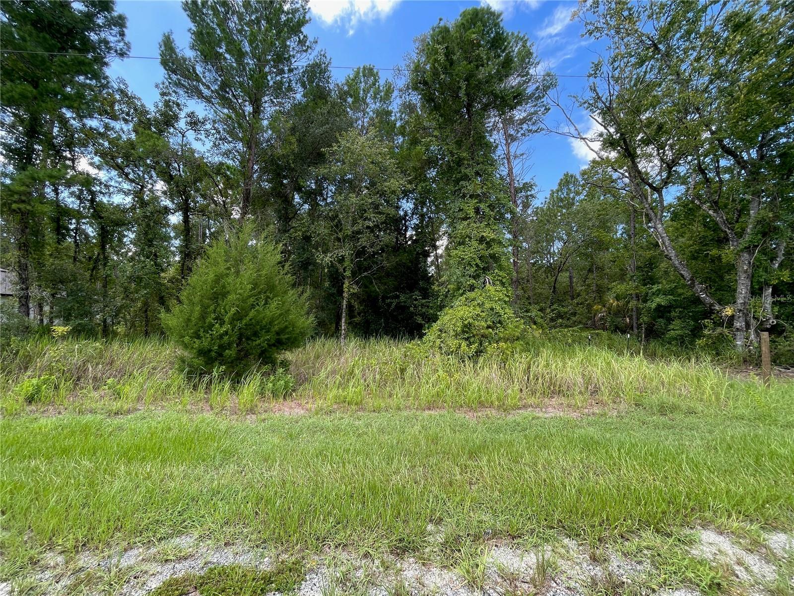 0 THRASHER AVE Property Photo 1