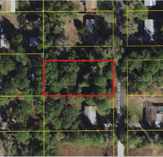 3408 N Olive Ave Property Photo 3