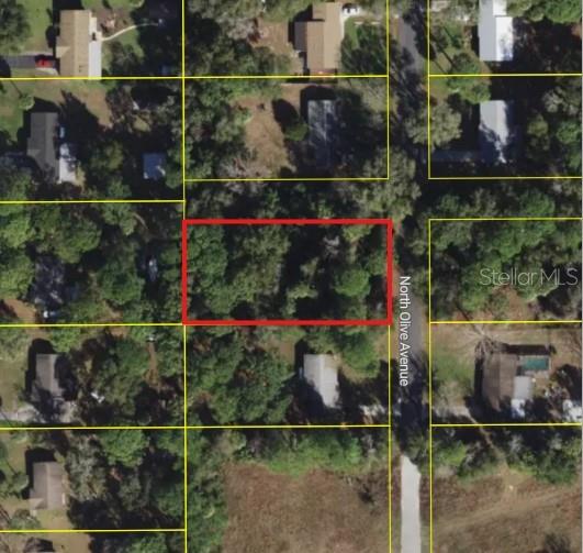 3408 N Olive Ave Property Photo 4