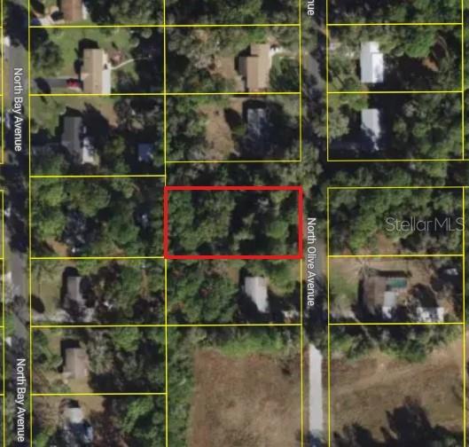 3408 N Olive Ave Property Photo 5