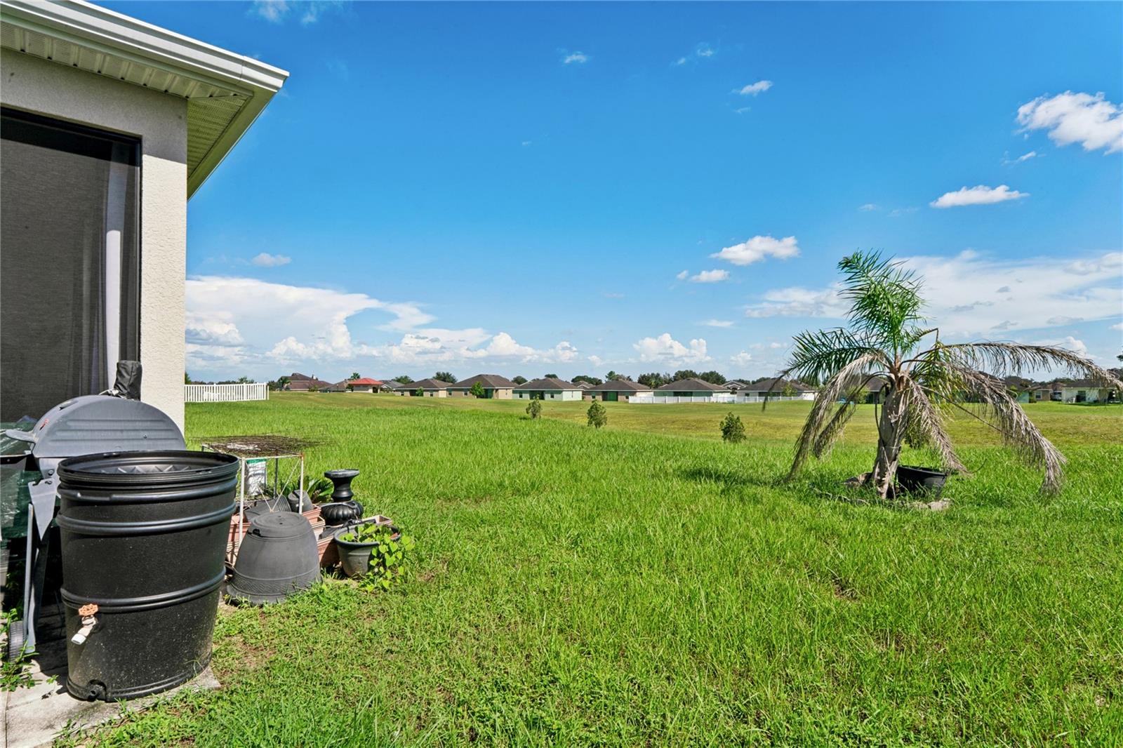 30896 Satinleaf Run Property Photo 40