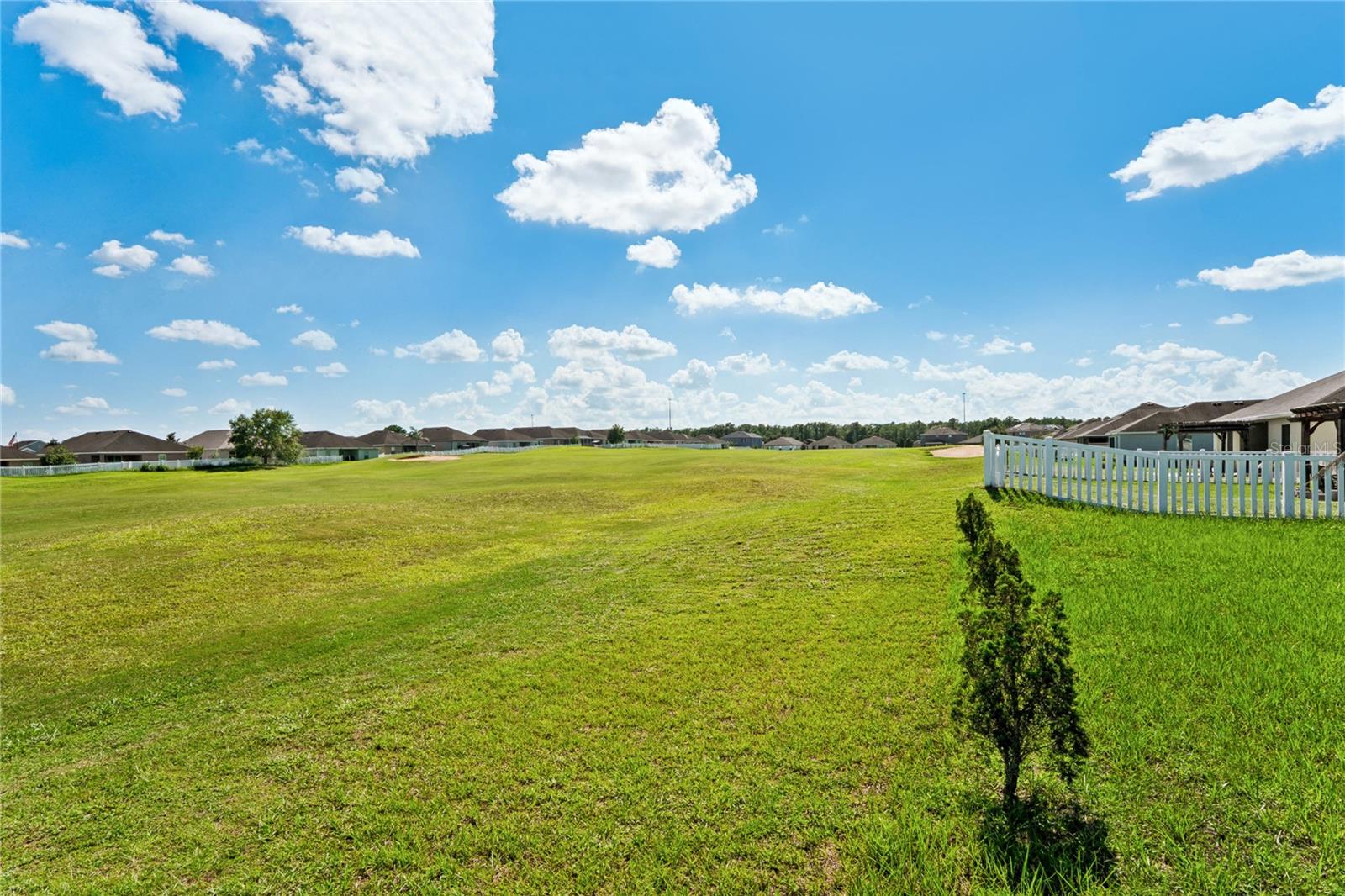 30896 Satinleaf Run Property Photo 41