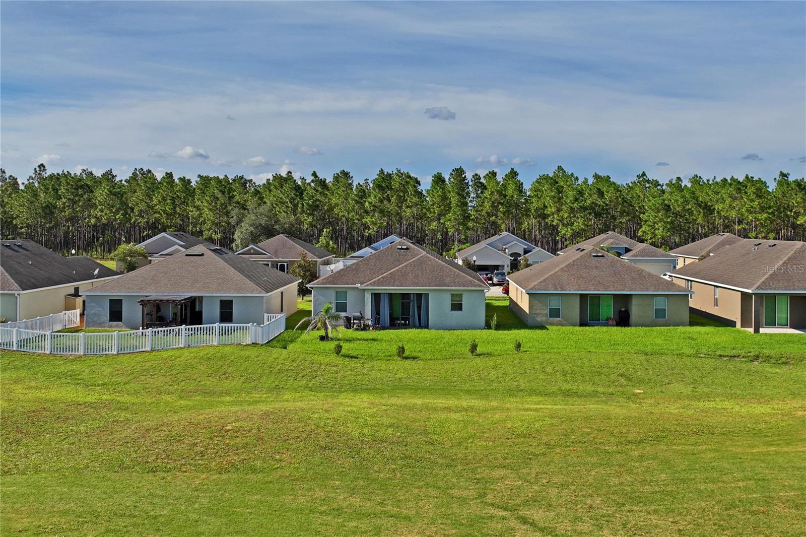 30896 Satinleaf Run Property Photo 44