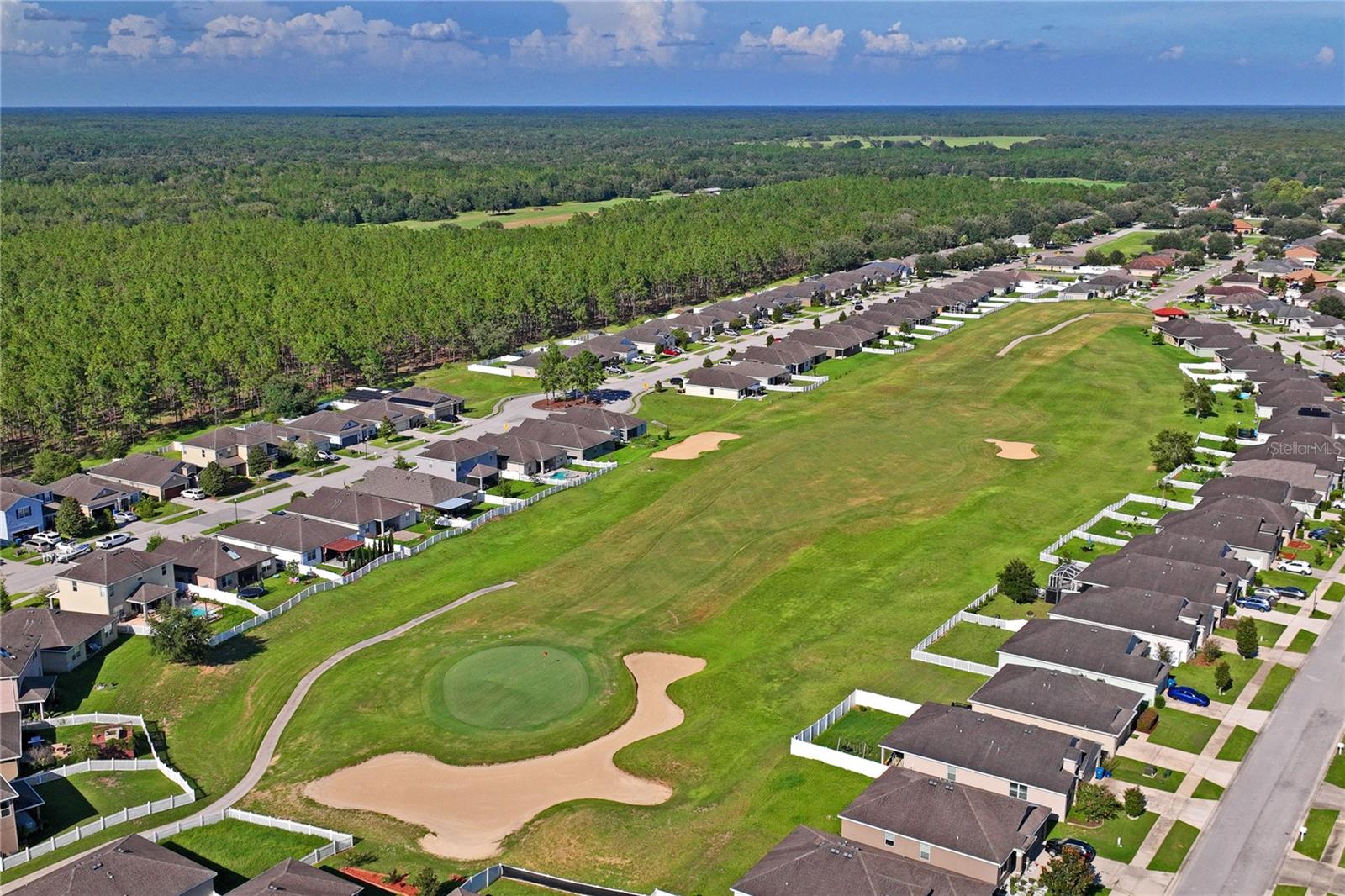 30896 Satinleaf Run Property Photo 53