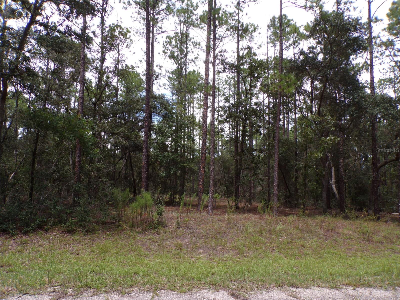 601 E MARQUETTE LN Property Photo 1