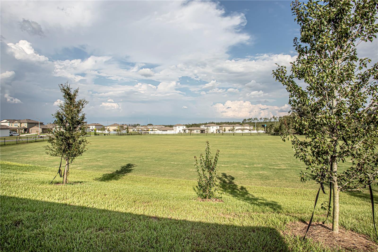 5202 Sailor Rd Property Photo 30