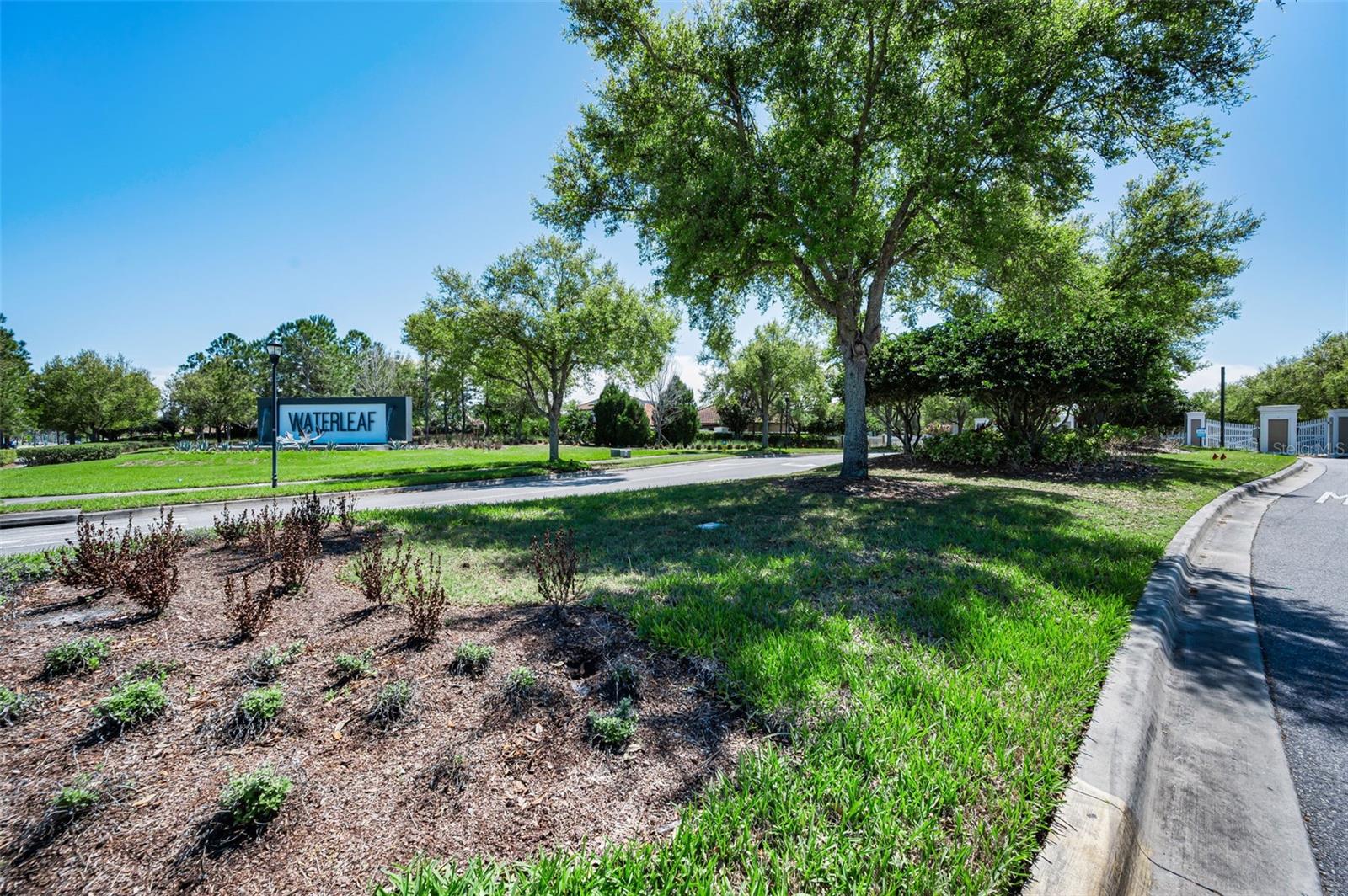 11923 Cinnamon Fern Dr Property Photo 53
