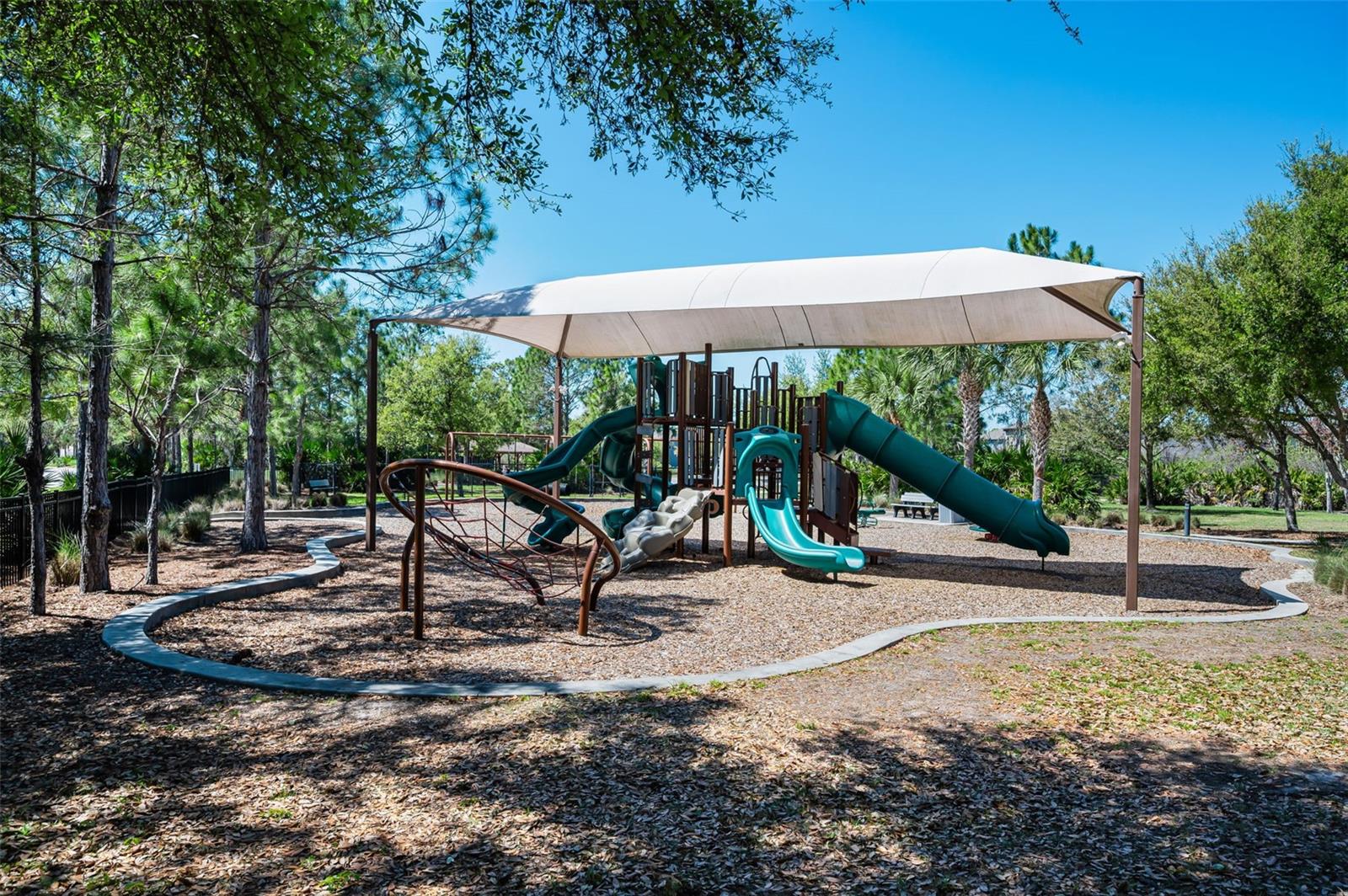 11923 Cinnamon Fern Dr Property Photo 72