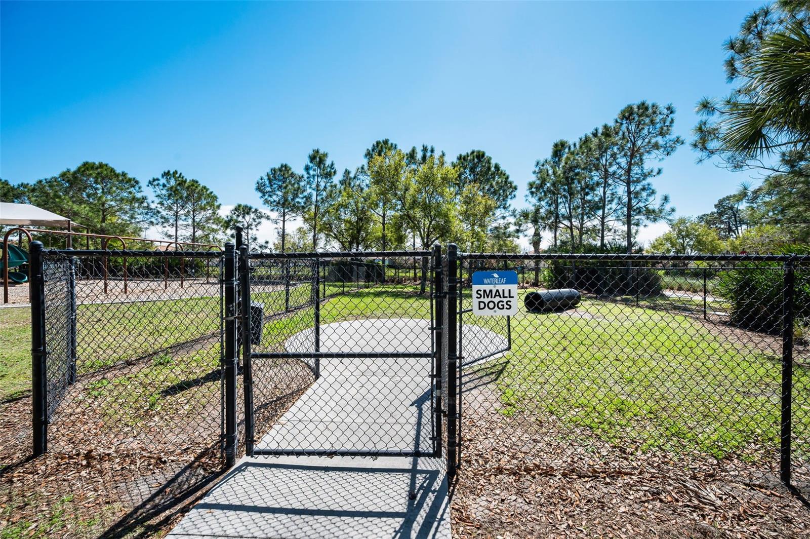 11923 Cinnamon Fern Dr Property Photo 77