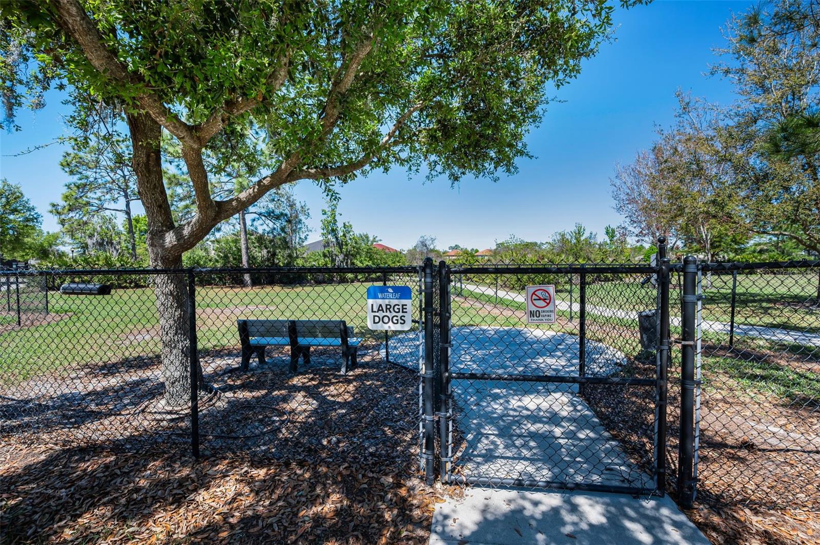 11923 Cinnamon Fern Dr Property Photo 78