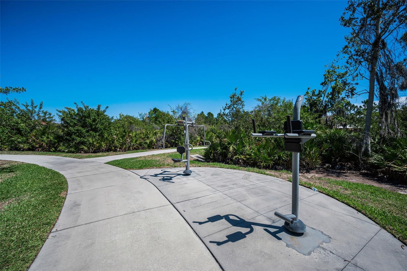 11923 Cinnamon Fern Dr Property Photo 83