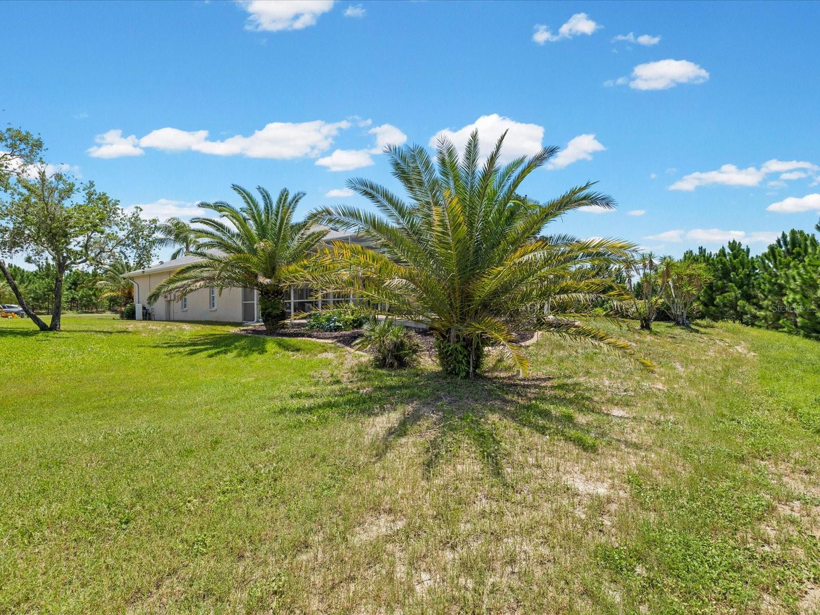 8101 Morning View Dr Property Photo 41