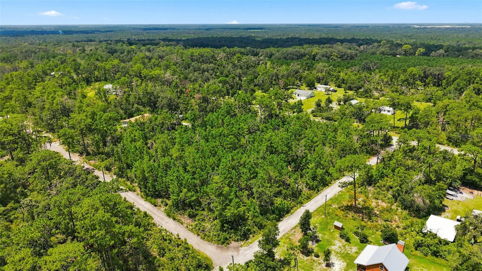 0 Lanier (lot 1) Ave Property Photo 1