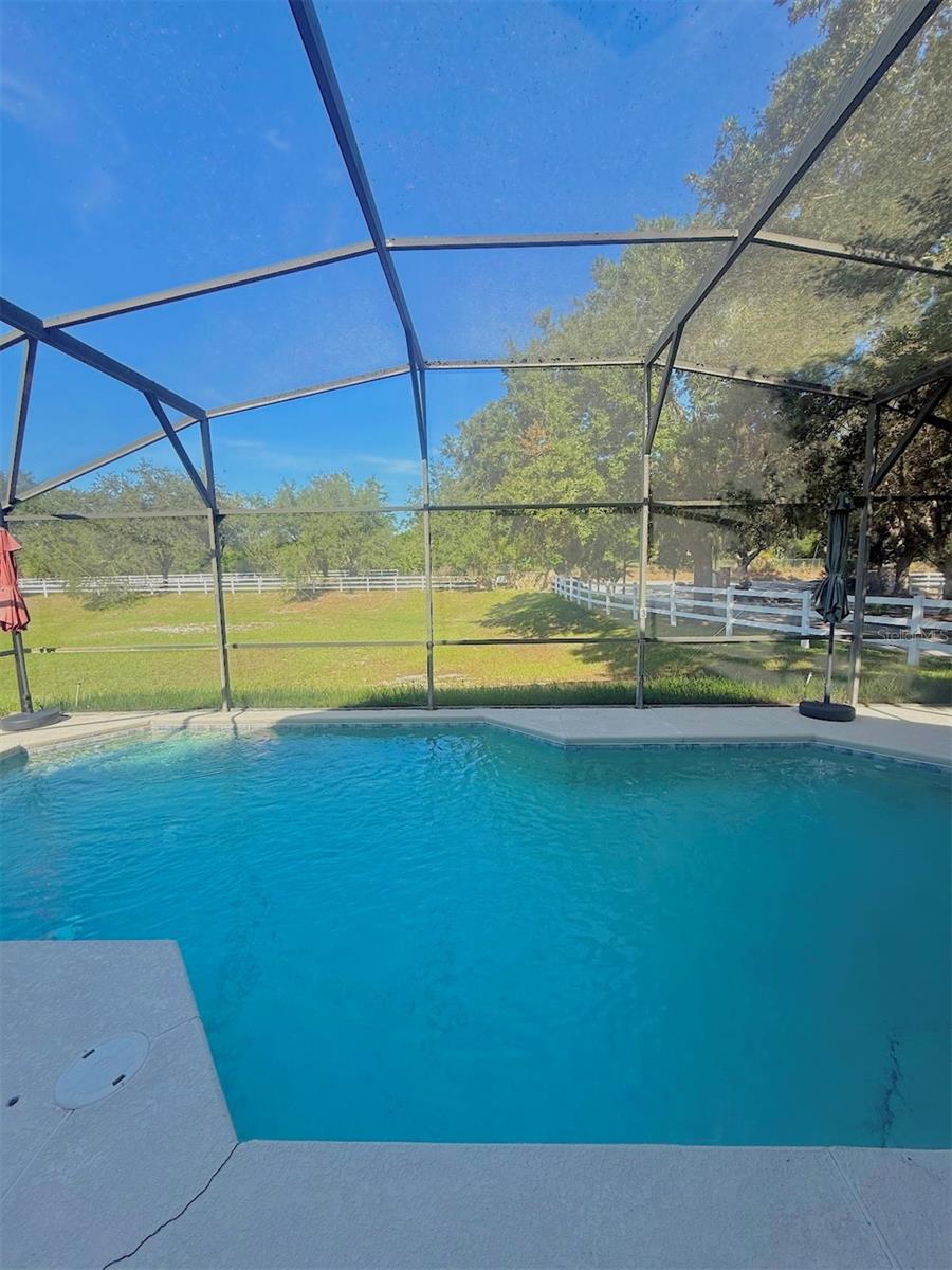 733 Saddle Ridge Dr Property Photo 3