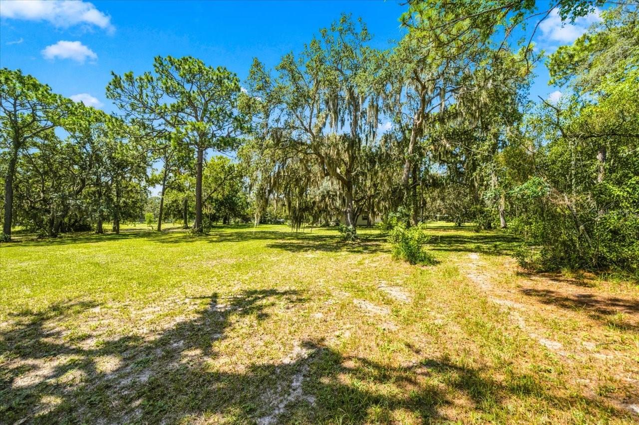 15535 Renee Ln Property Photo 37