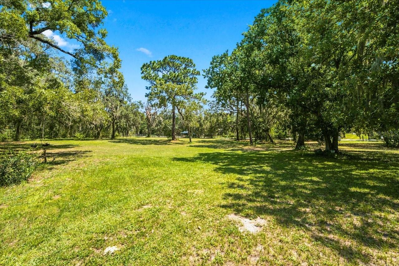 15535 Renee Ln Property Photo 43