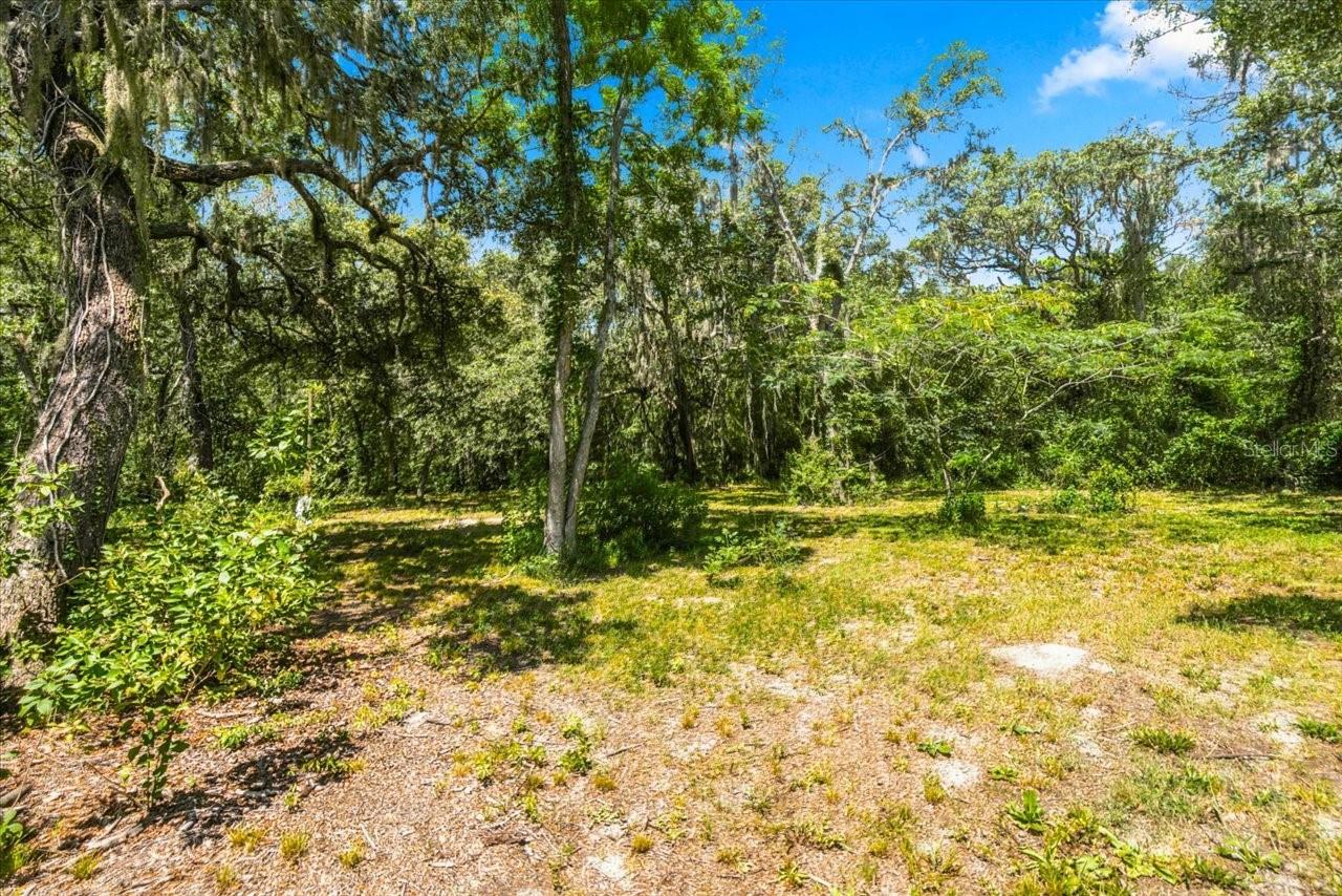 15535 Renee Ln Property Photo 45