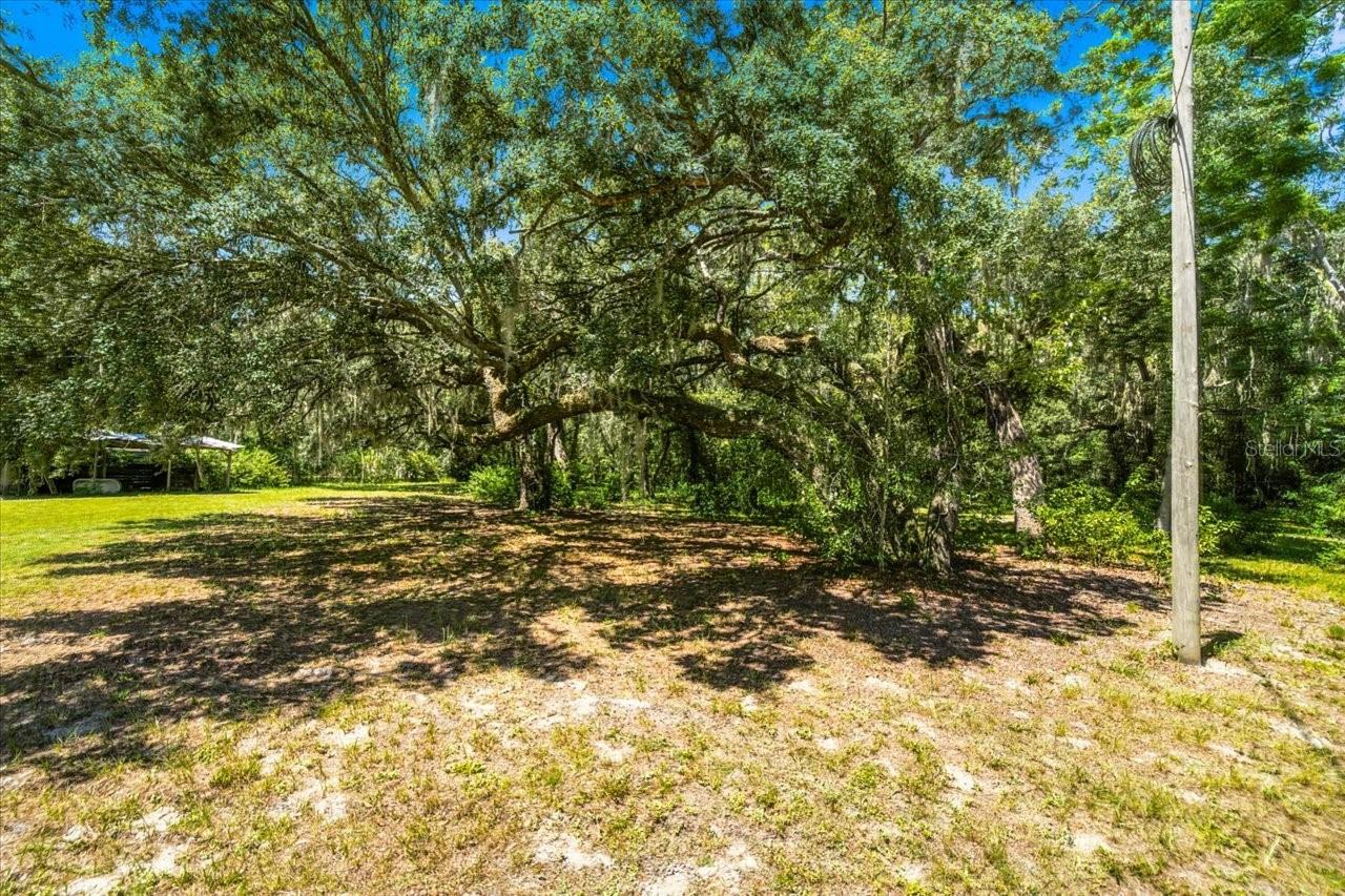 15535 Renee Ln Property Photo 46