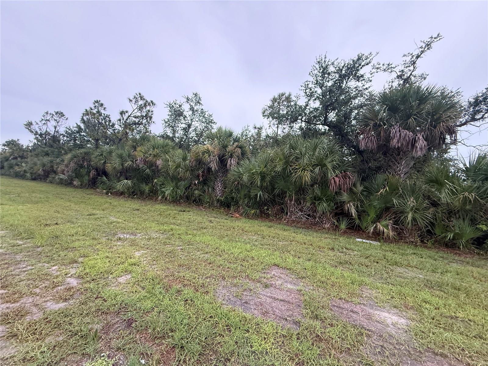 13241 Appleton Blvd Property Photo 3
