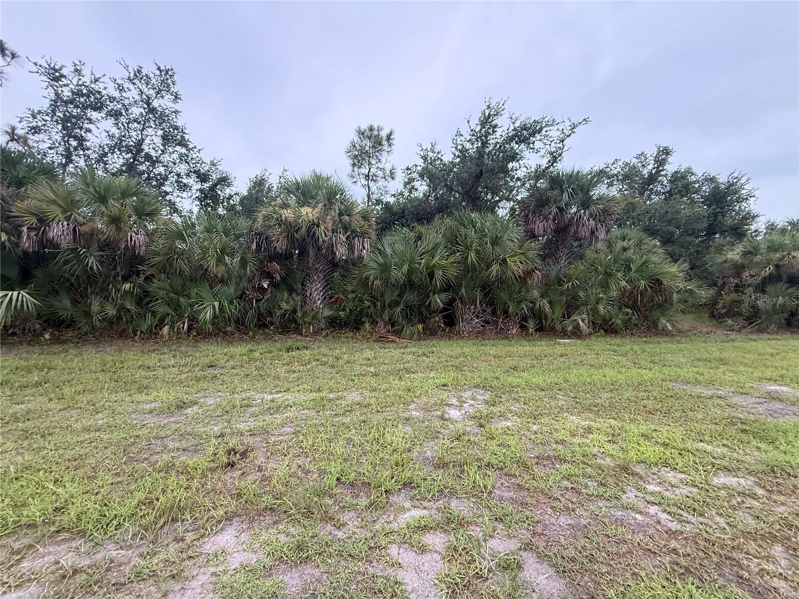 13241 Appleton Blvd Property Photo 5