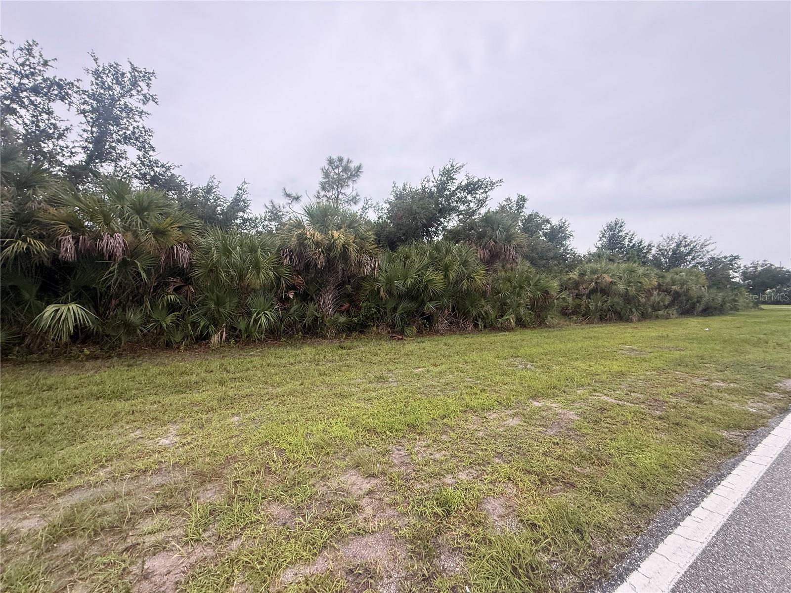 13241 Appleton Blvd Property Photo 6