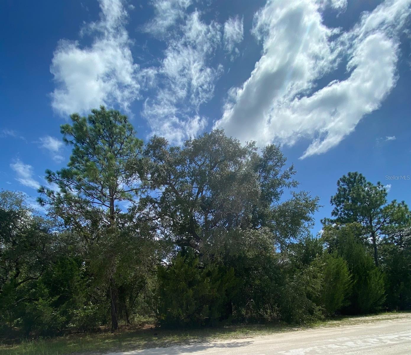 Peaceful Ave Property Photo 2