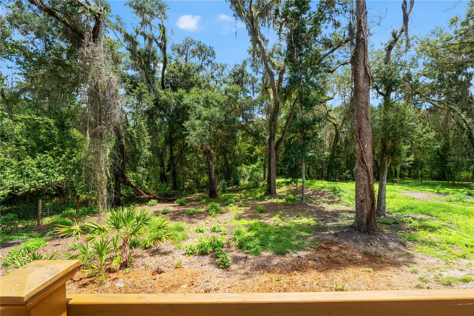 3270 Endsley Rd Property Photo 57