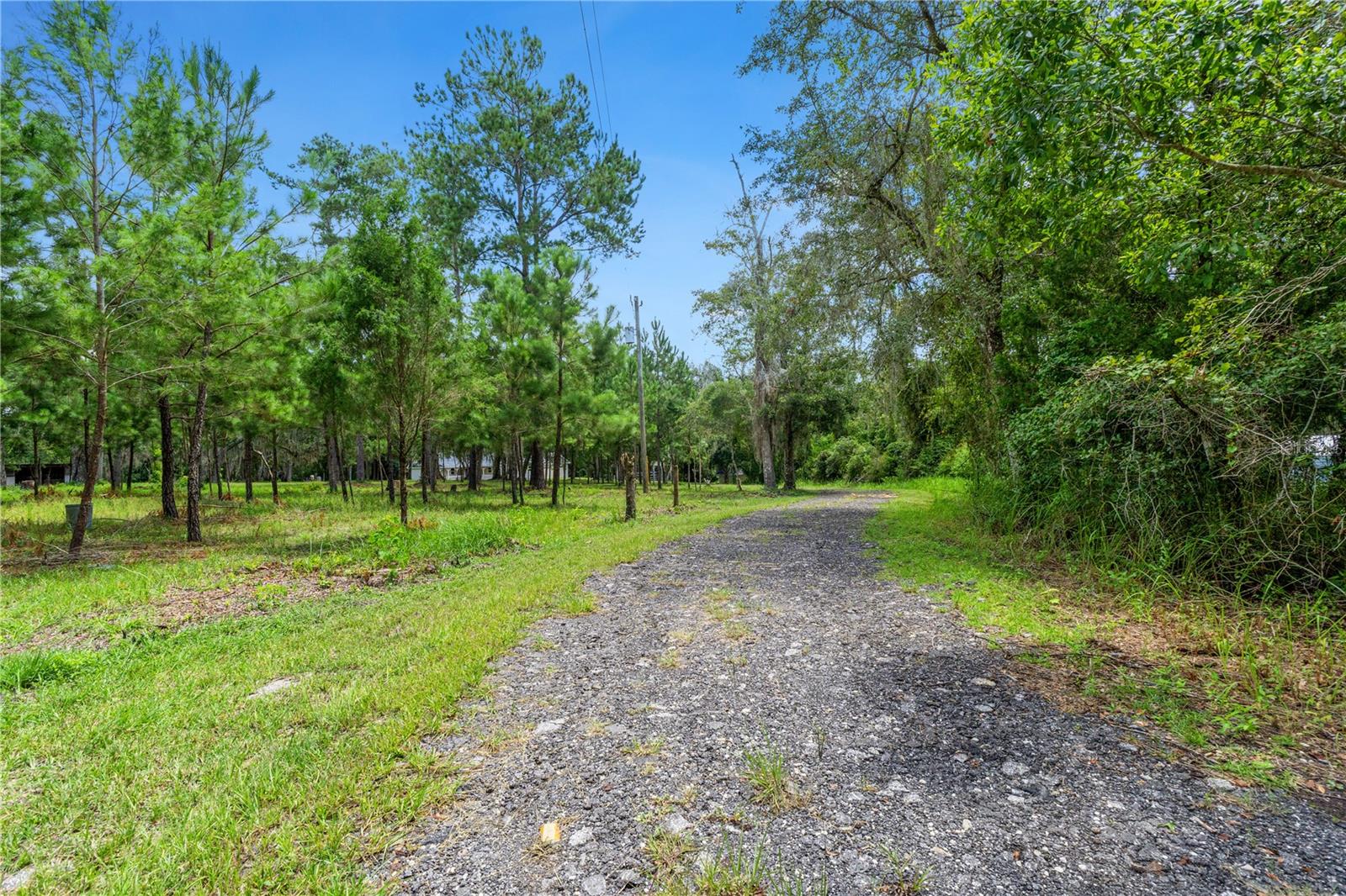 3270 Endsley Rd Property Photo 80