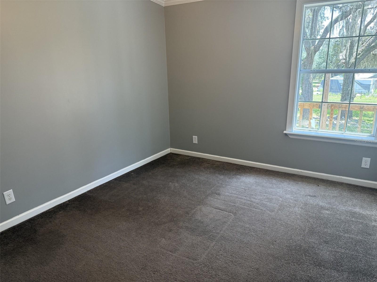 12091 Pinetree Ln Property Photo 19