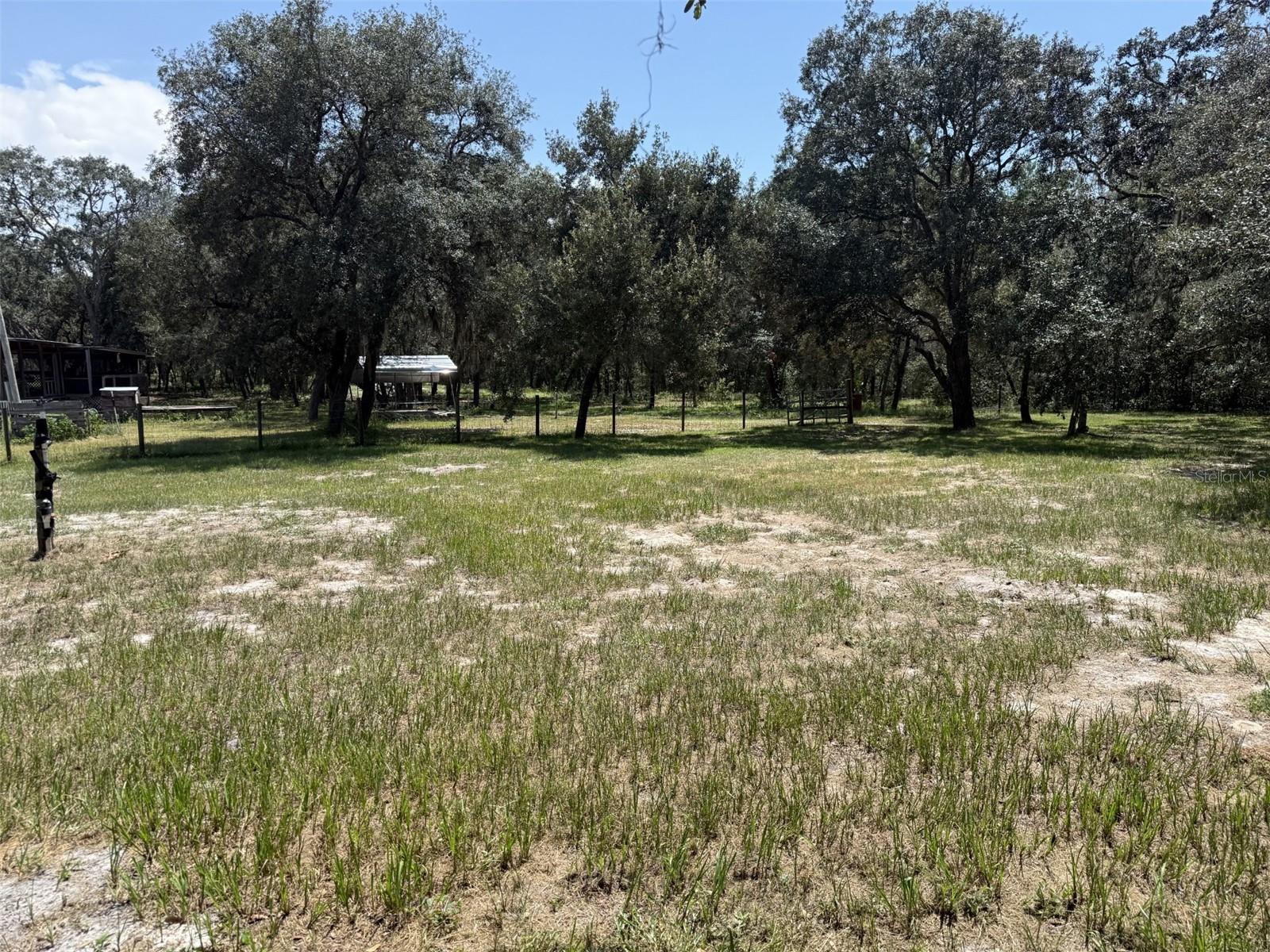 12091 Pinetree Ln Property Photo 35