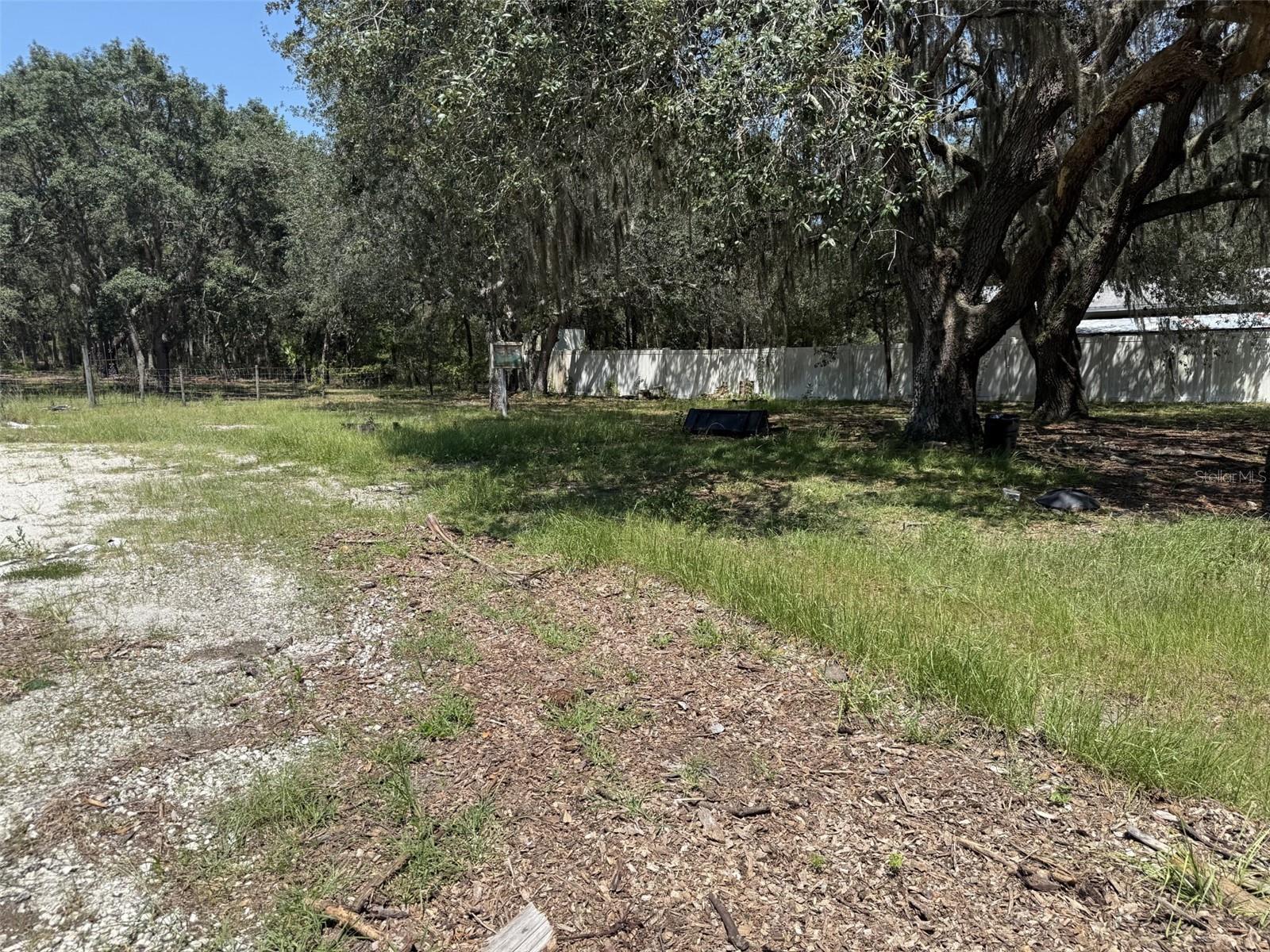 12091 Pinetree Ln Property Photo 38